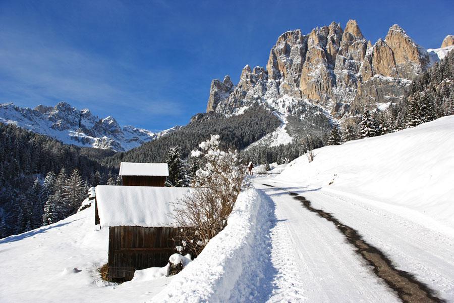 Appartamenti Dolomiti Moena Exterior foto